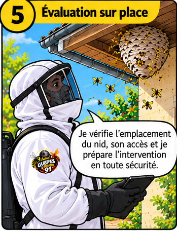 Étape 5 : évaluation sur place